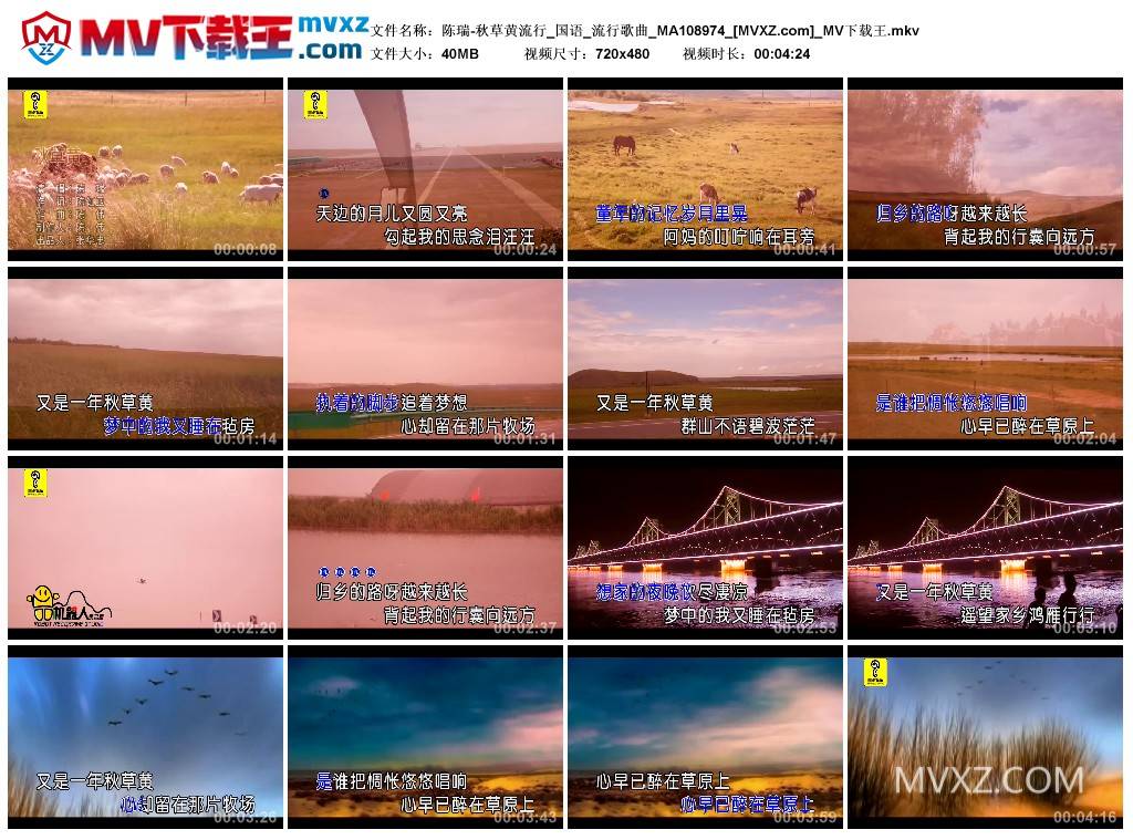 陈瑞-秋草黄流行_国语_流行歌曲_MA108974